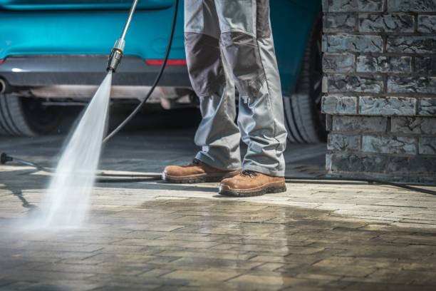 Best Parking Lot and Garage Cleaning  in Carlyle, IL