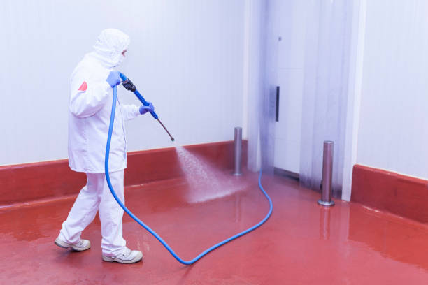 Best Post-Construction Pressure Washing  in Carlyle, IL