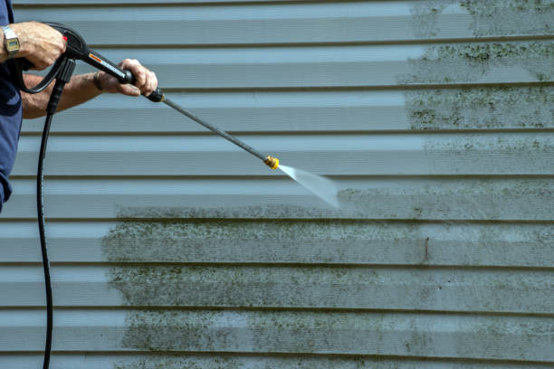 Best Dumpster Area Cleaning  in Carlyle, IL